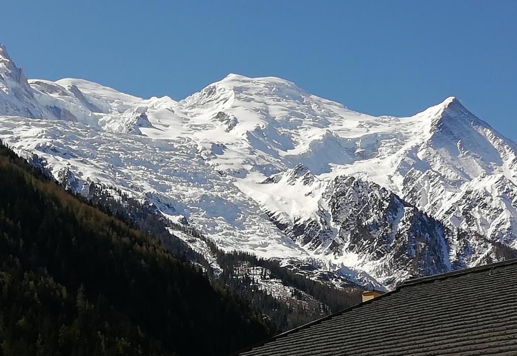 Studio With Balcony, Mt Blanc View, Parking, Center Of 霞慕尼 外观 照片